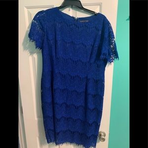 Cruise blue Felicia short sleeve round neck
lace knee length dress.
